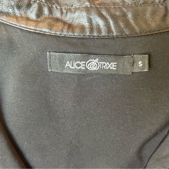 Alice and Trixie Shift Dress - Picture 4 of 4